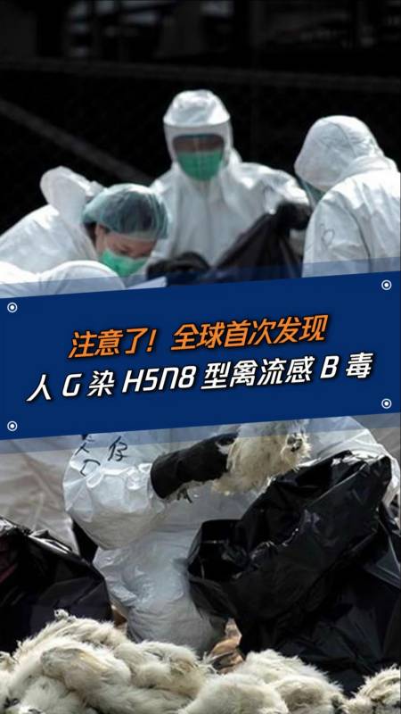 全球首次发现人g染h5n8型禽流感b毒!-全民小视频