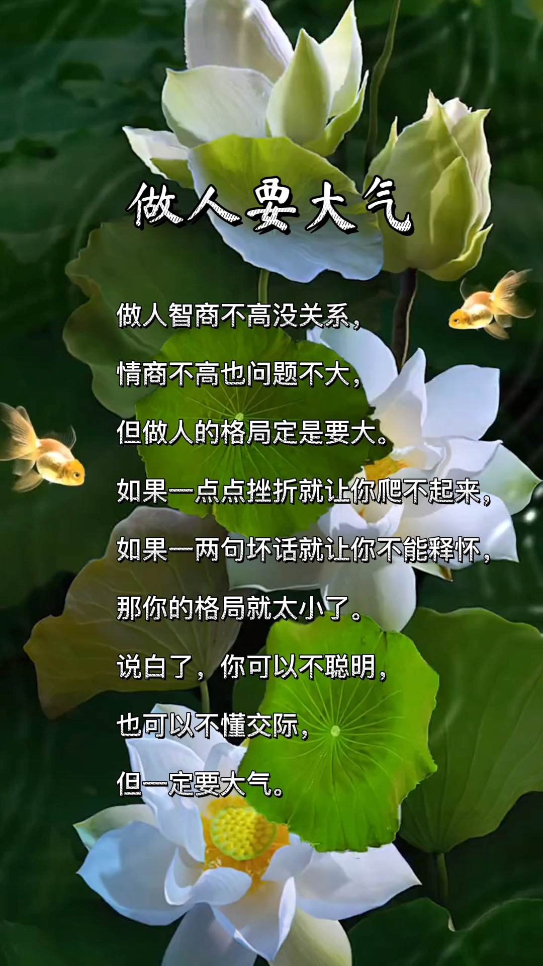 人生感悟#做人要大气有格局