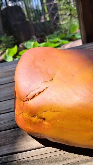 红黄双色细蜡冻#黄蜡石#兰江出水