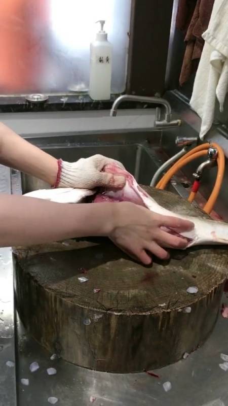 广东佛山鱼生#新来的师傅,放血不小心割破苦胆,被客人退了下来,老板