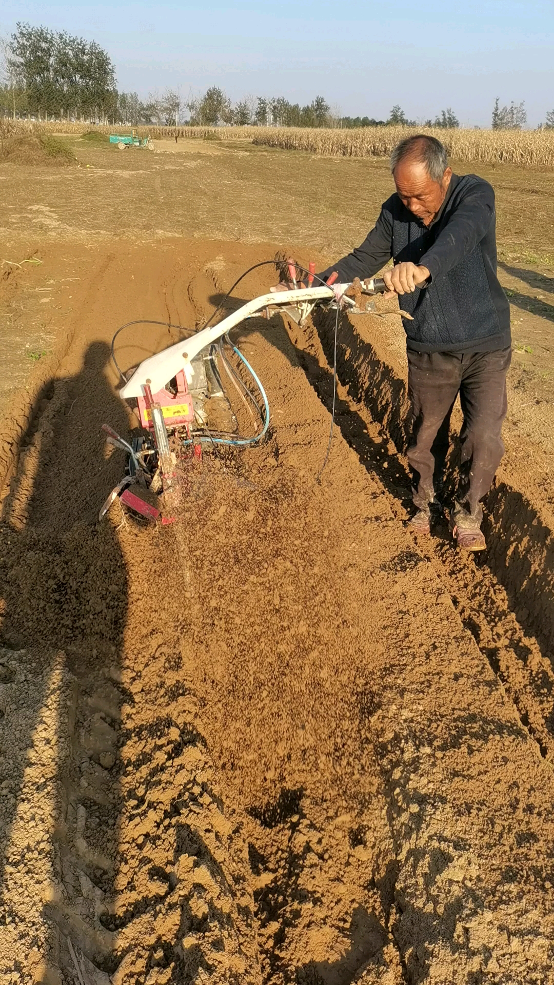 潍坊舜航培土机#大葱培土机开沟培土起垄机多功能微耕机