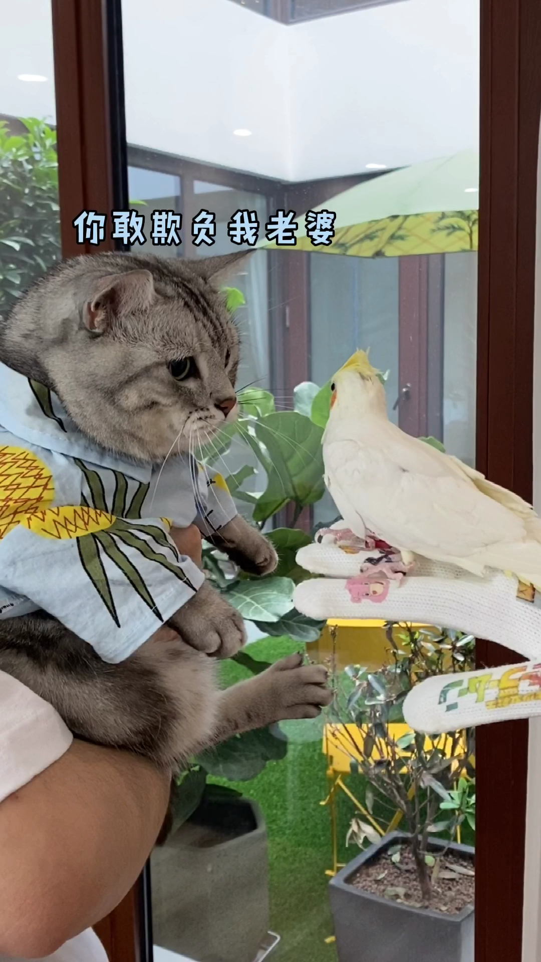 安生去泡芙家做客……没想到发生了这些事情-度小视