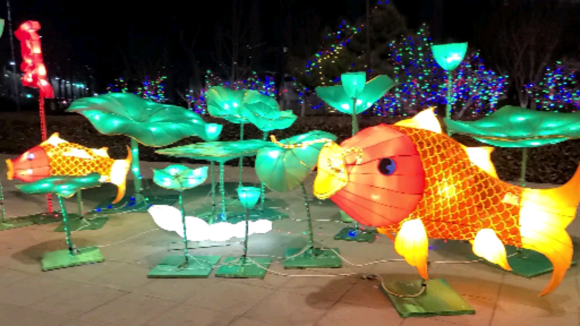 任城区2021年彩灯