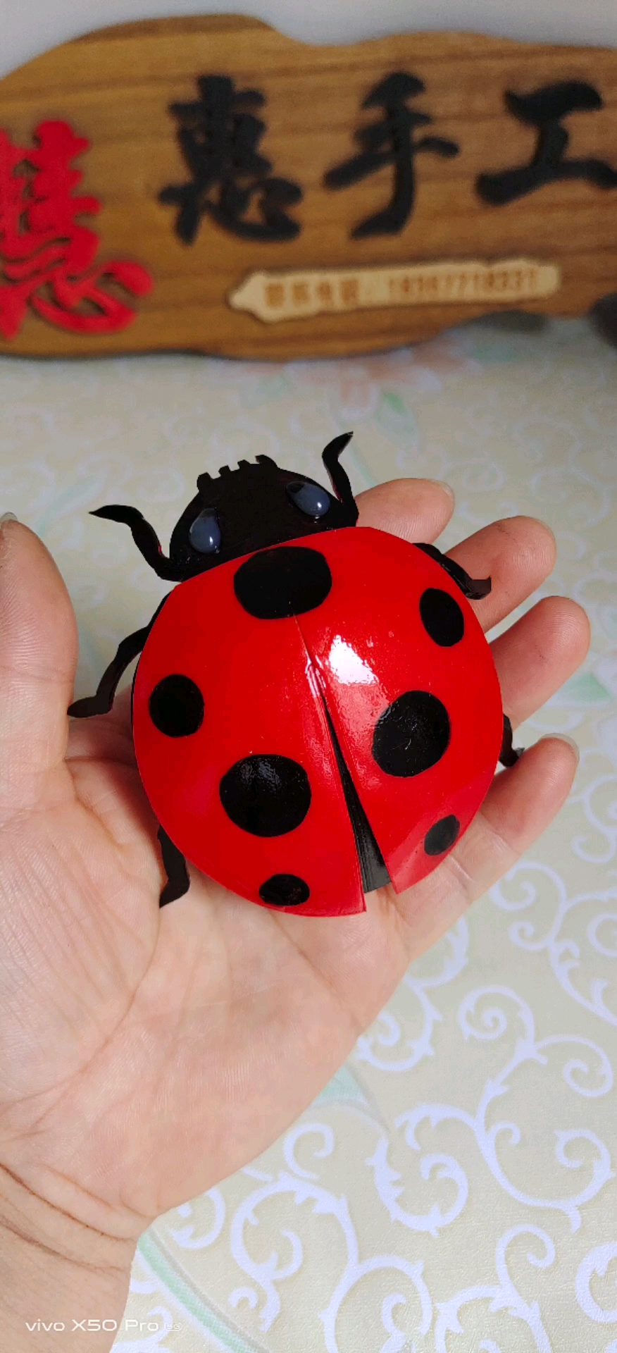手工制作#抓到好大一只七星瓢虫!