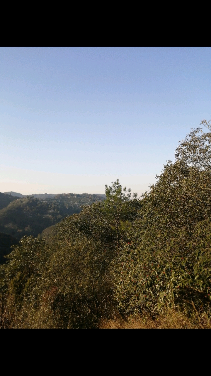 旅游进行时#杭州市西湖区贵人峰山,山上风景漂亮,风光好,天气好,刀