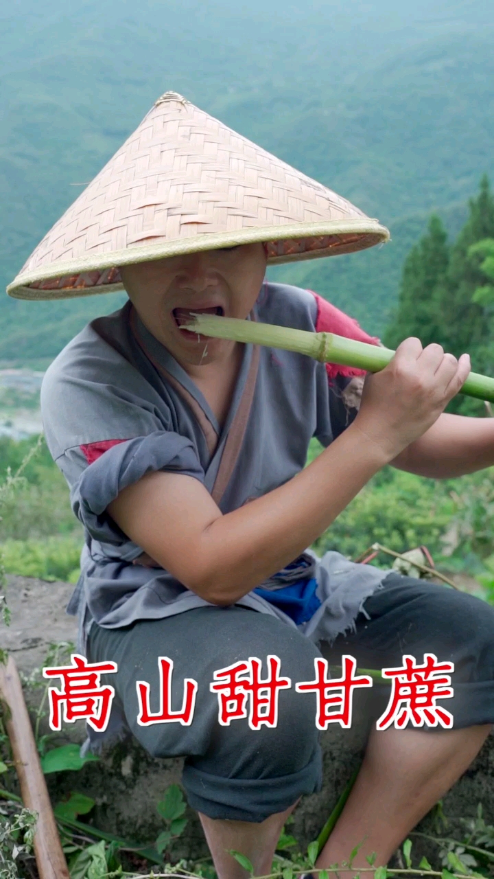 家乡特色美食#山上的"野甘蔗"熟了,汁水饱满,口感爽脆,你们吃过这种"