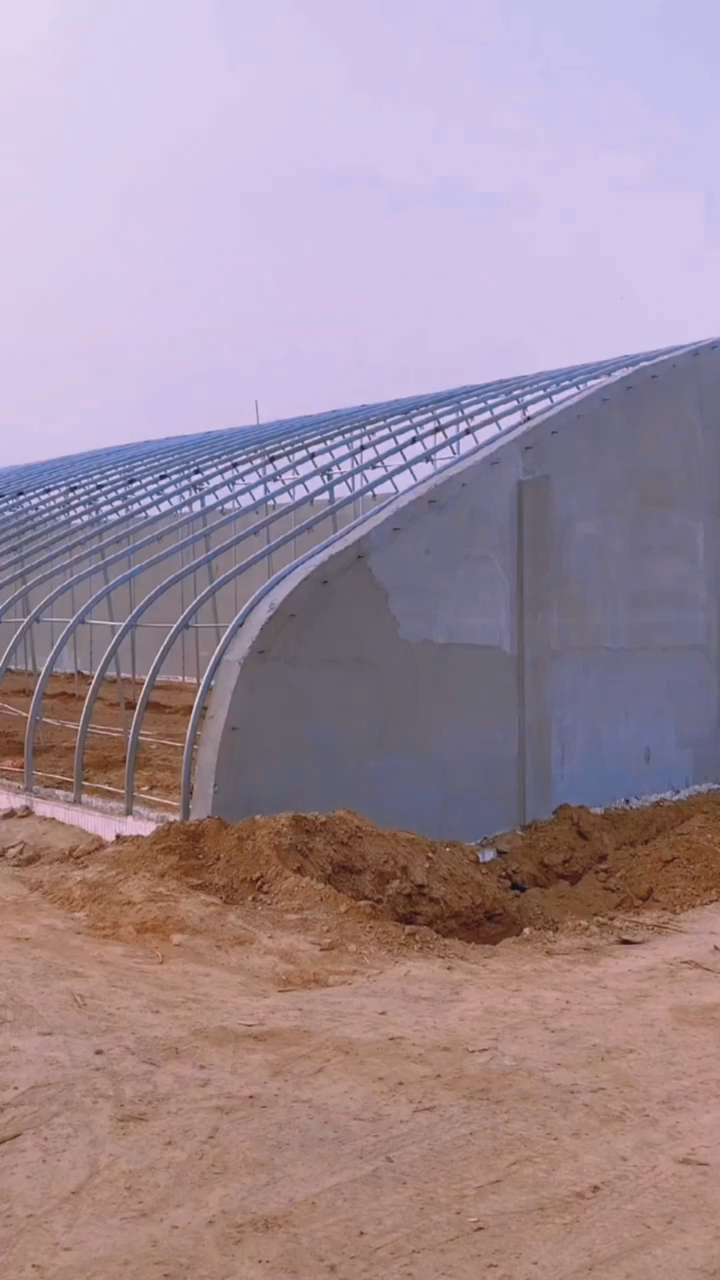 这样的泡沫大棚你见过吗?