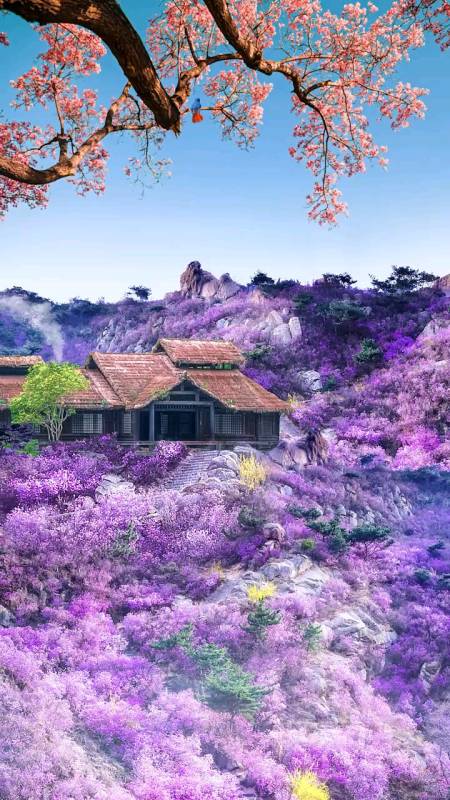 风景如画#当你心情不好的时候,就来翻翻我的作品吧.