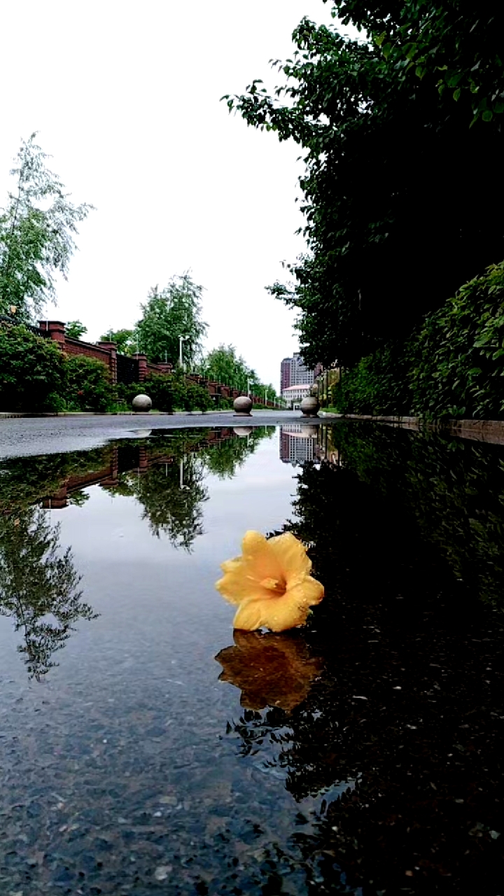 雨后美景