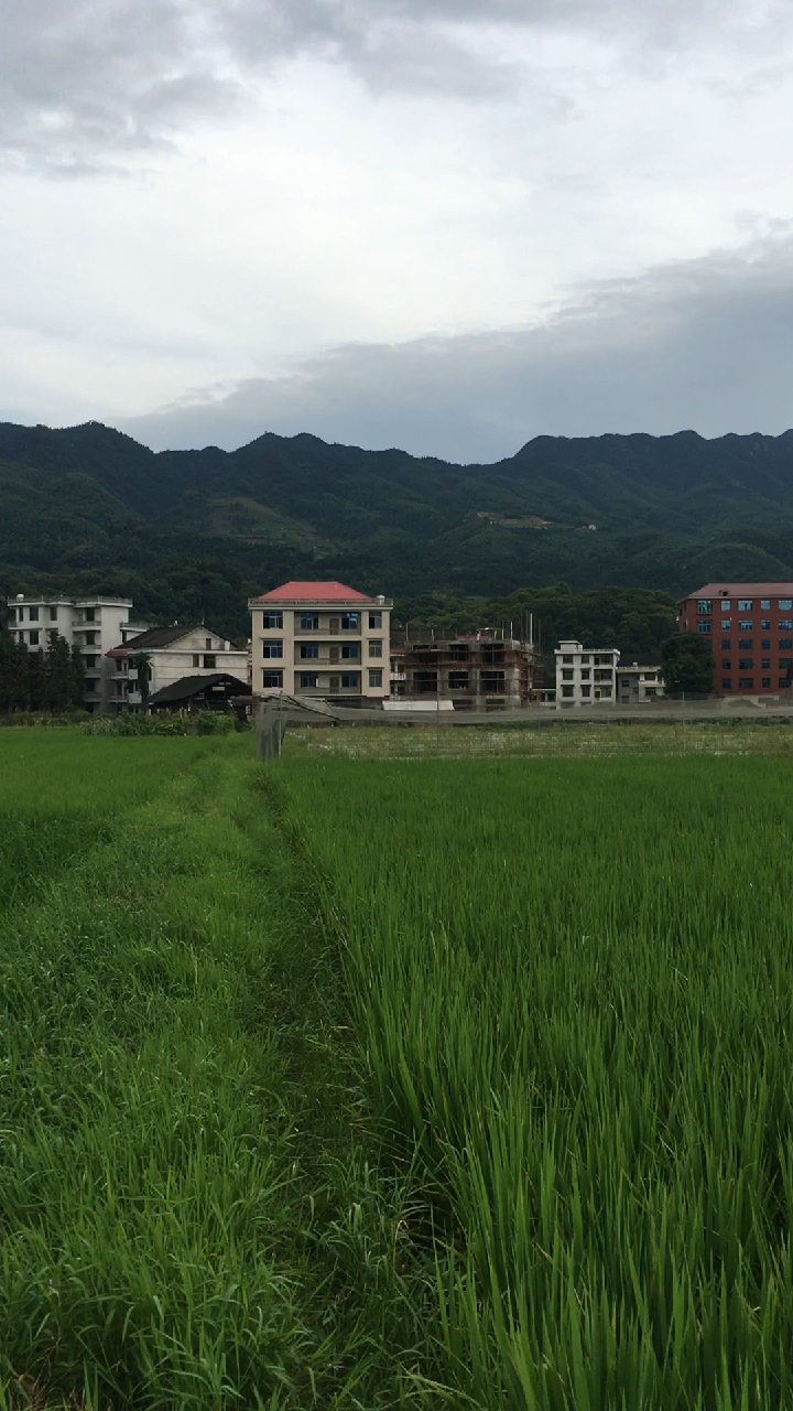 717高铁上拍湖南新化洋溪镇风景