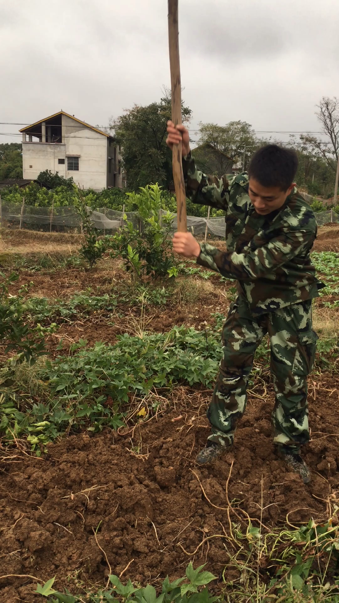 我只是一个普普通通的农村小伙,会干活,会煮饭,会做家务