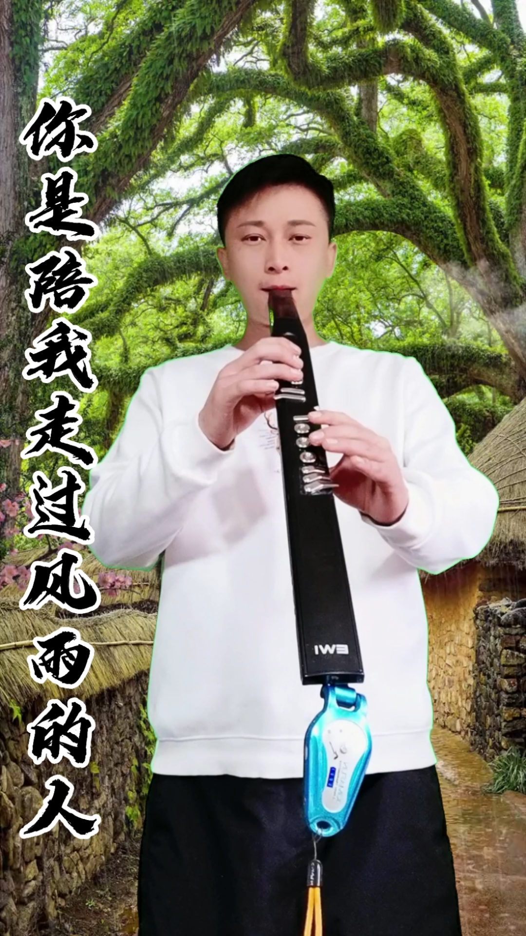 电吹管你是陪我走过风雨的人