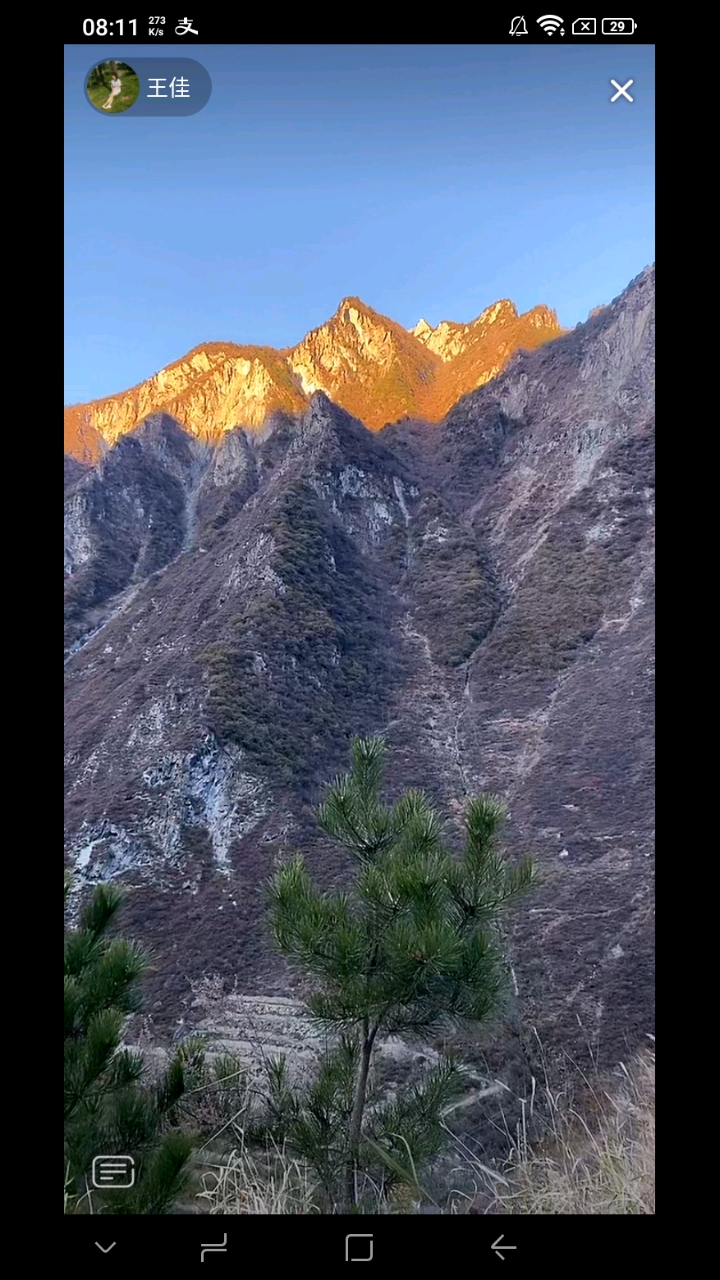 春日心愿旅行地#罕见的一座金山.好漂亮啊!