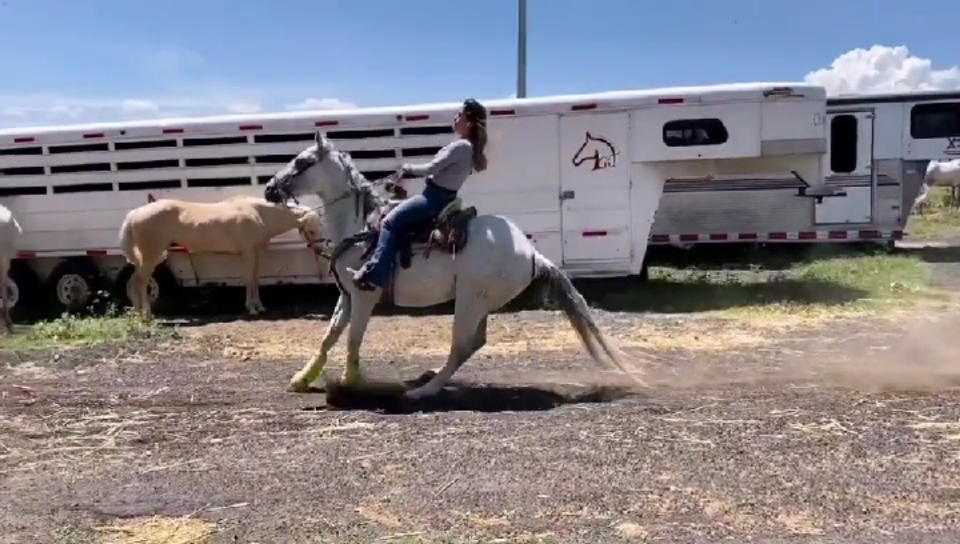 来看一下马是怎么刹车的!这才是真正的马刹拉地