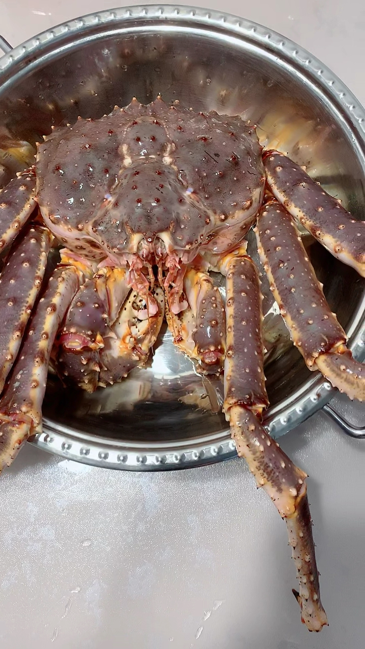 帝王蟹#闪送一只帝王蟹,还活着呢