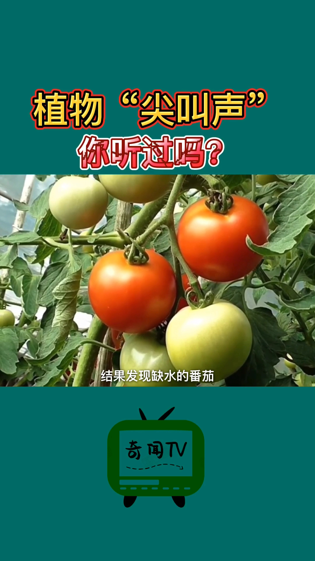 科普#植物的"尖叫声"你听过吗?-度小视