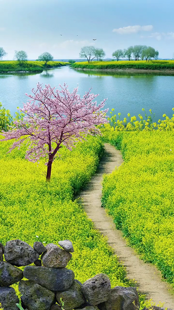 春暖花开,诗情画意,唯美治愈!