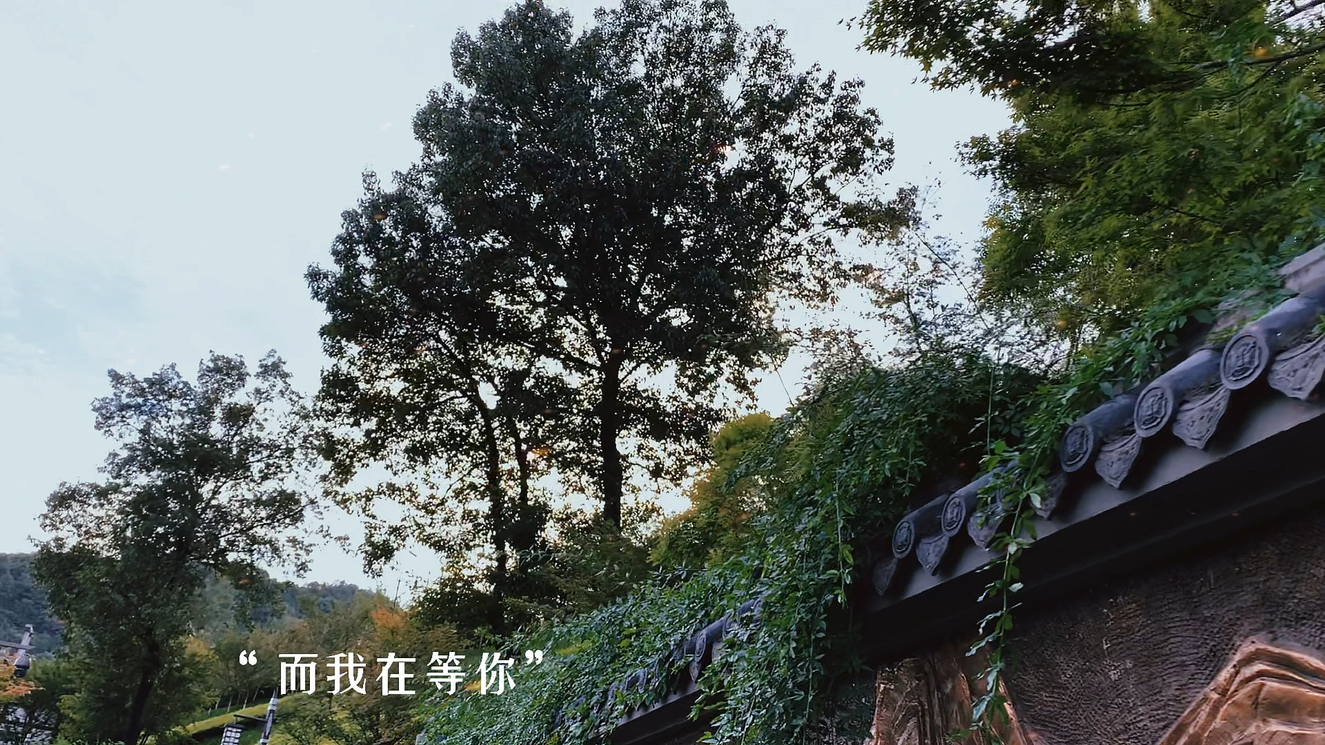 扎心情感语录#走了很久,发现我依然站在原地,等你.