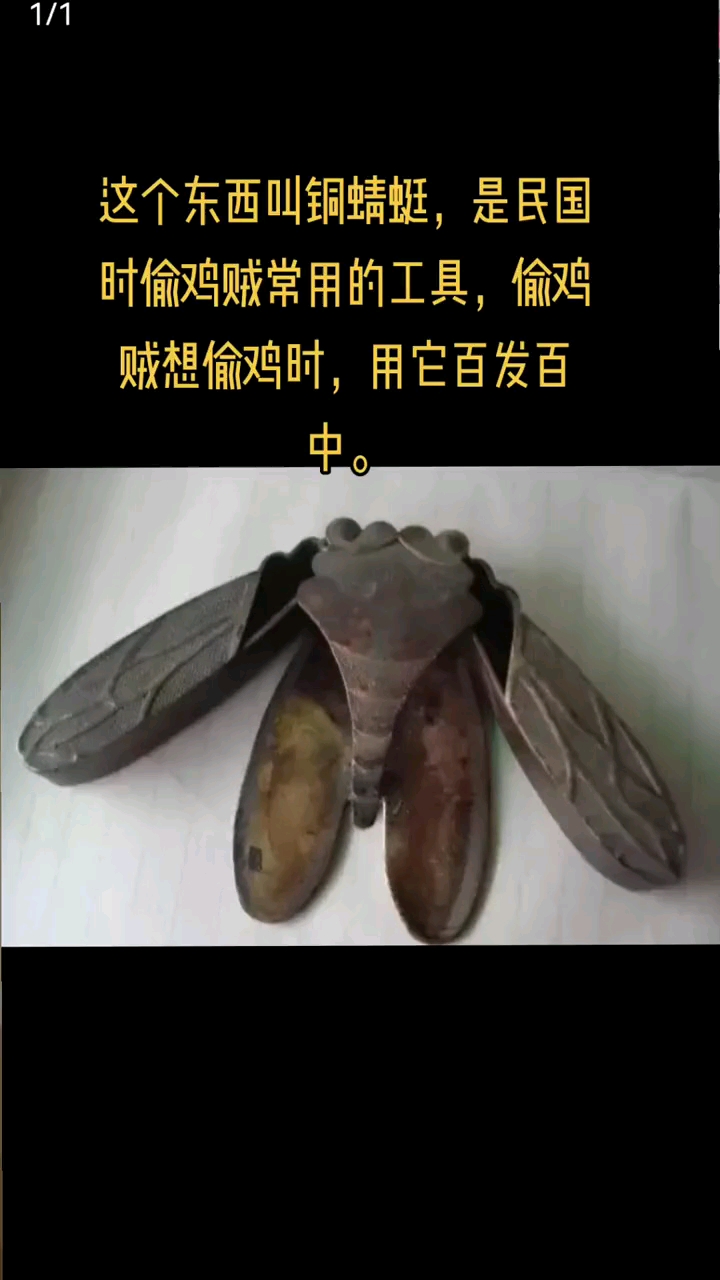 这个东西叫铜蜻蜓,是民国时偷鸡贼常用的工具