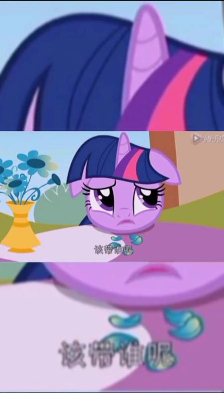 小马宝莉##童年动画紫悦好可啊