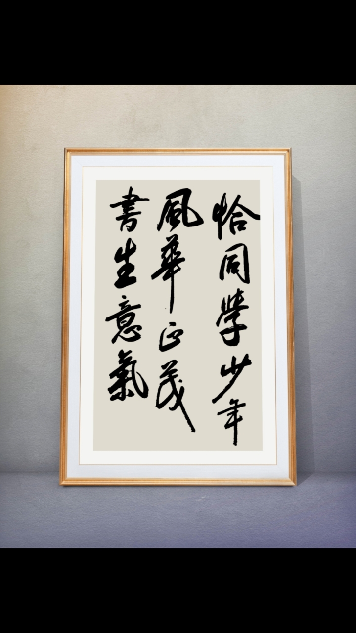 恰同学少年,风华正茂.书生意气,写的好不好您说了算