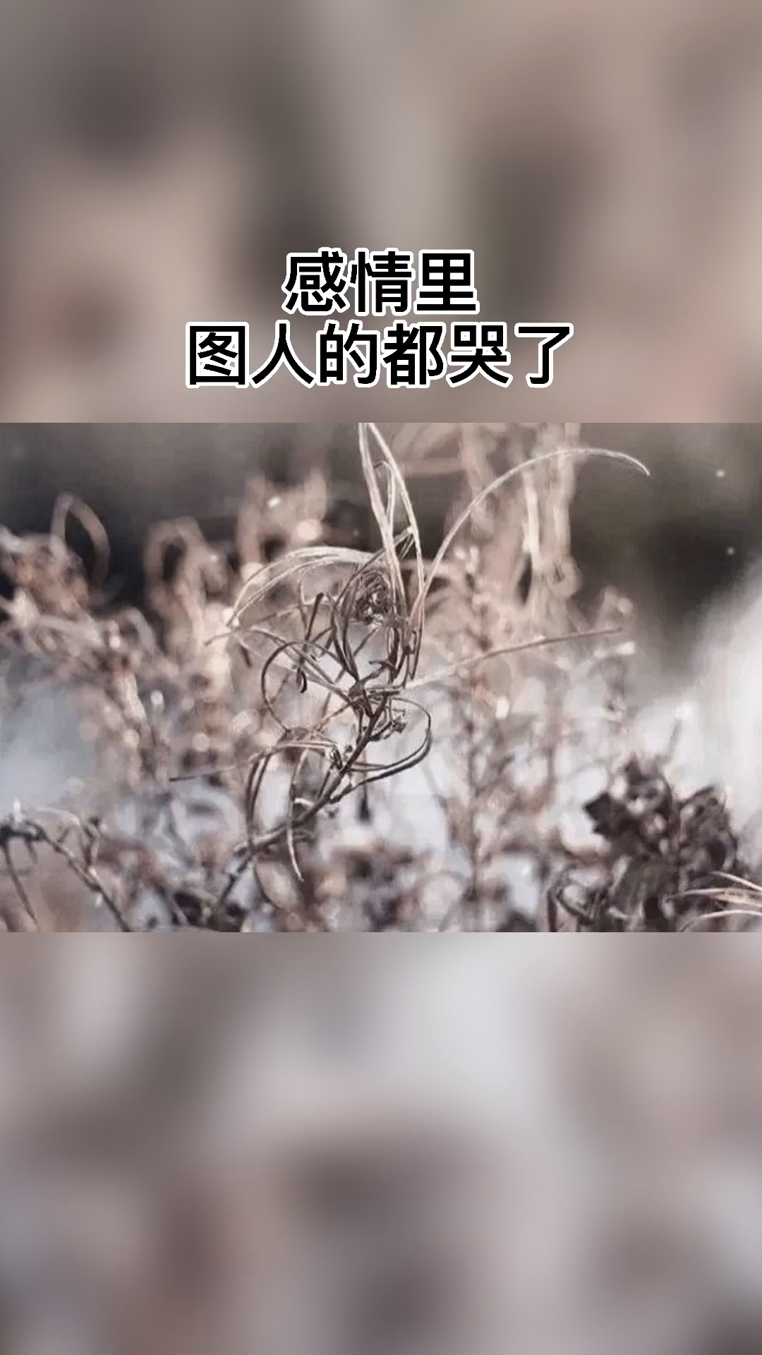 扎心情感语录生活总是让我们遍体鳞伤但到后来那些受