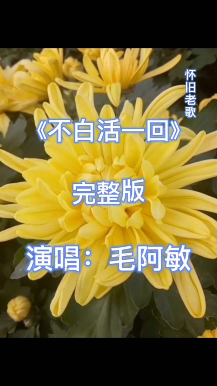 经典老歌一首不白活一回送给家人们如果您喜欢这首歌就留个红78吧