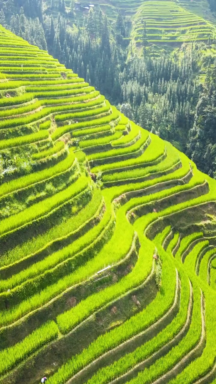 旅游进行时#贵州加榜梯田,层层梯田风景优美.