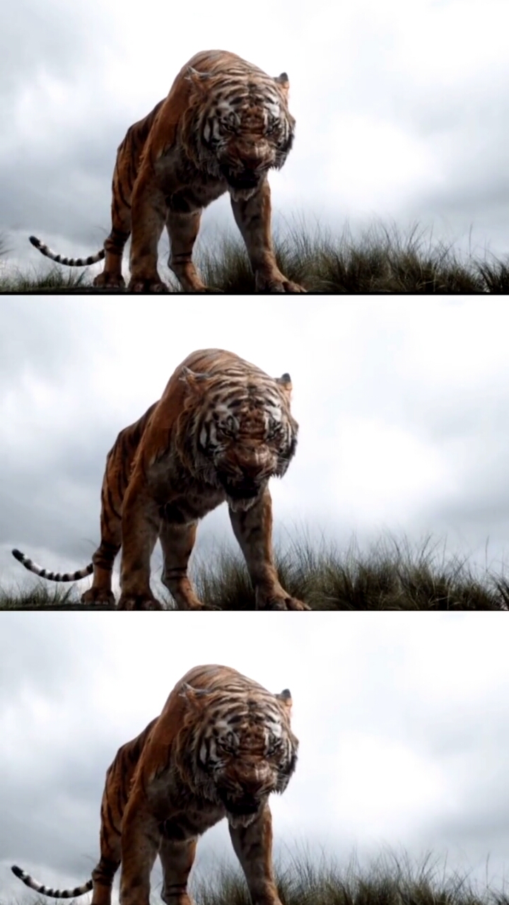 百兽之王的气势就是不同