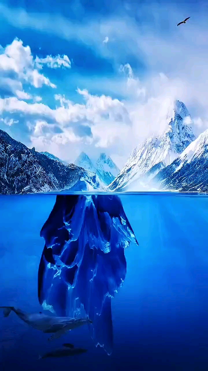 鲸鱼#母鲸知道自己即将死亡,用叫声唤来了自己的丈夫,拼尽全力送上