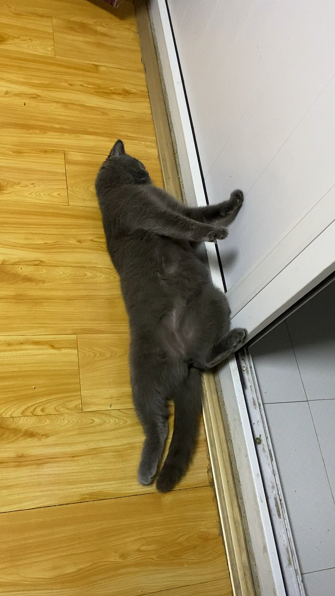 潮级玩家#睡姿大挑战啊哈