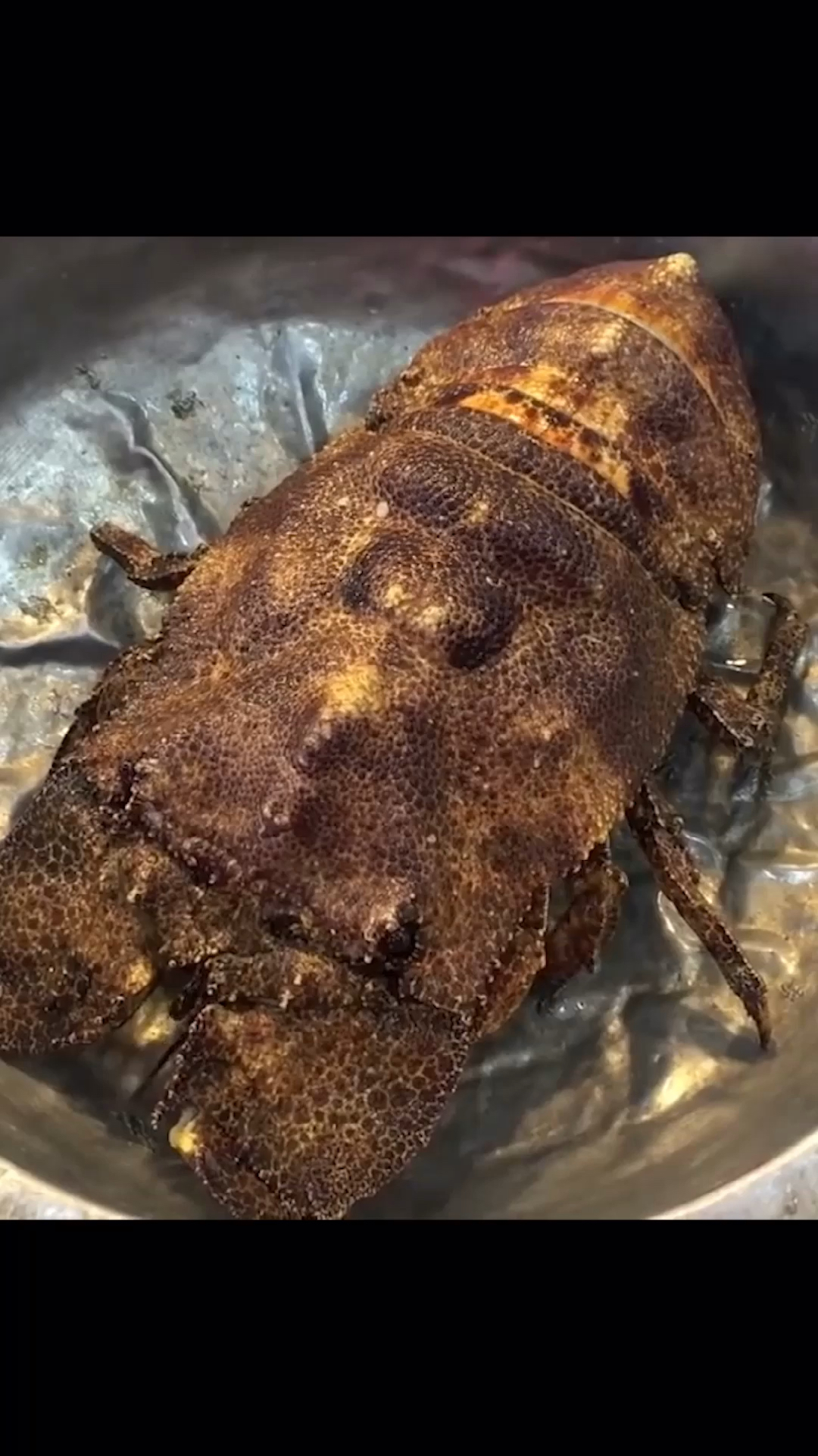 年轻人不讲武德,怎么聊着聊着就把本犀牛虾,做成刺身了呢?