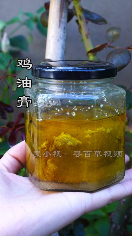 大肥鸡里面的鸡油记得不要扔,加白糖存放3年就是鸡油膏了.-度小视