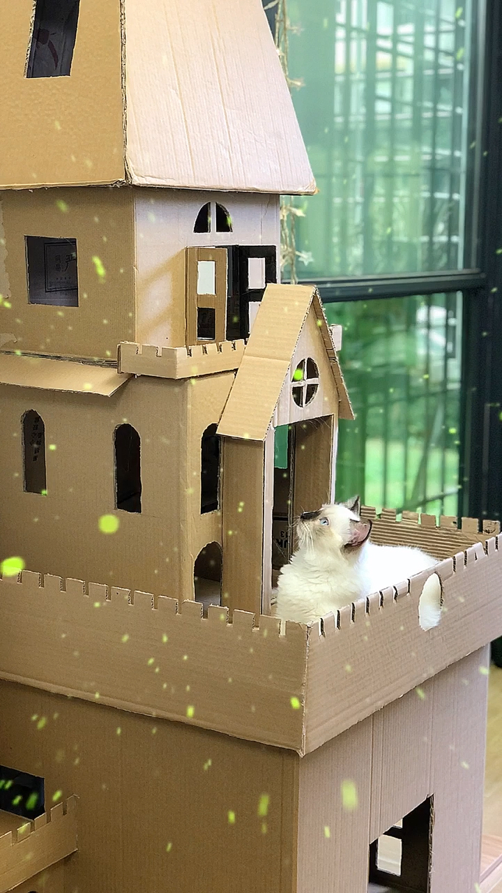猫咪房子制作教程图片图片