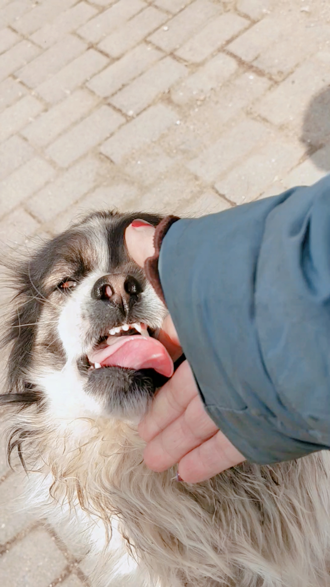 音为有你#一日不见如隔三秋