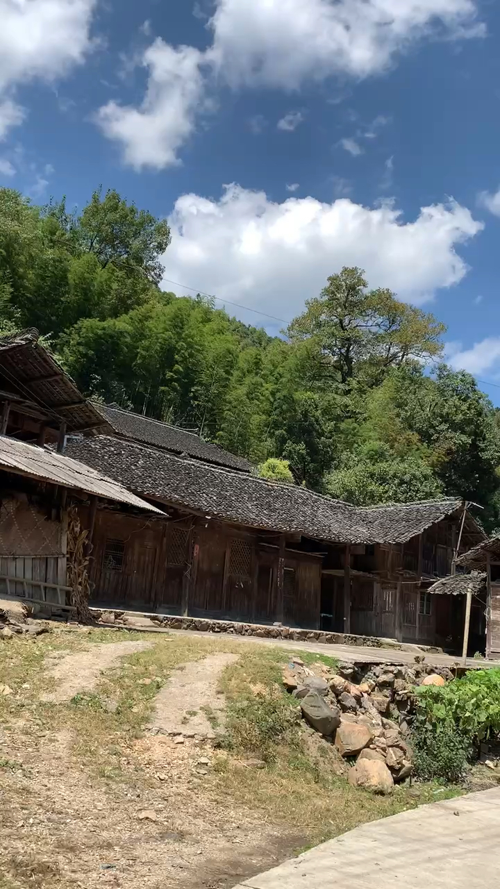 农村#城里有个家,农村有爸妈,如果累了就常回家走走吧!