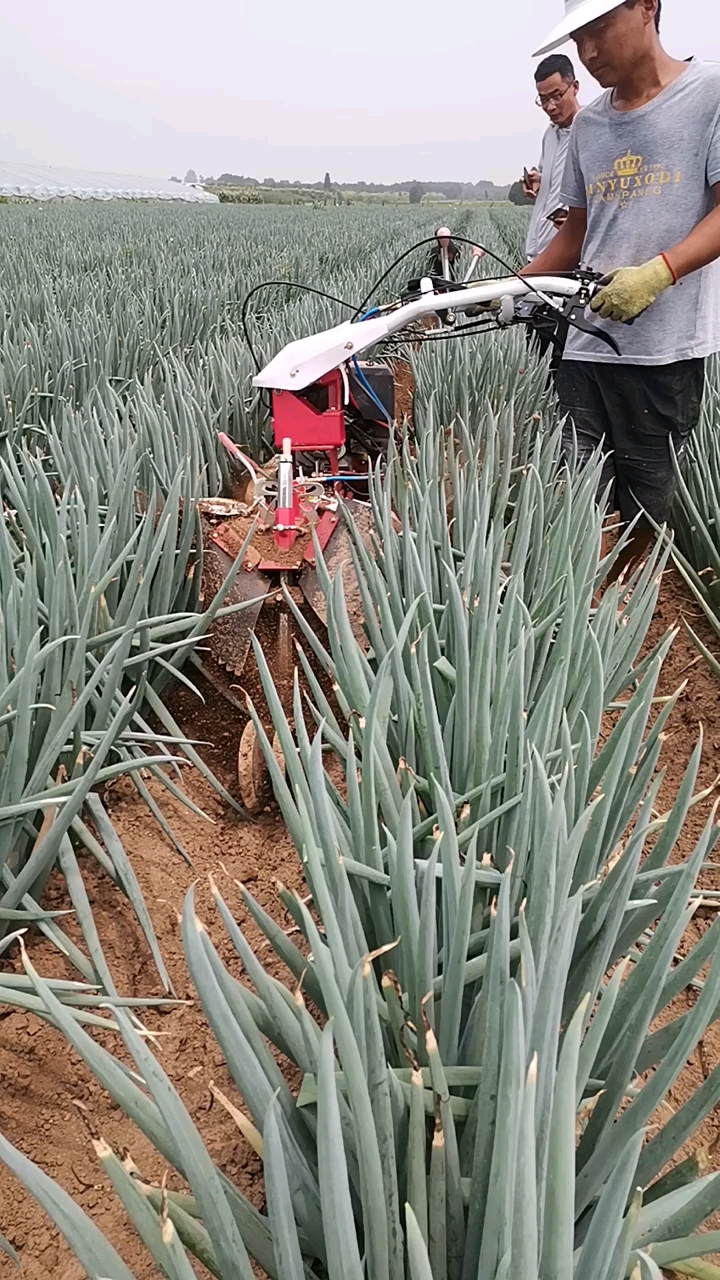 大葱开沟培土机