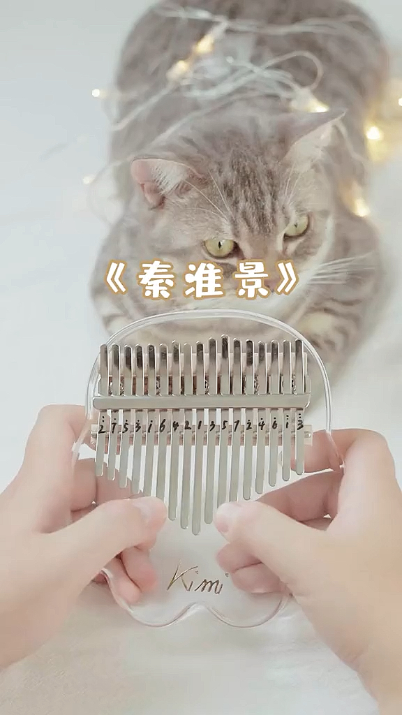 拇指琴#之前看二爷把秦淮景和探清水河串起来了,我有一段情呀,唱给