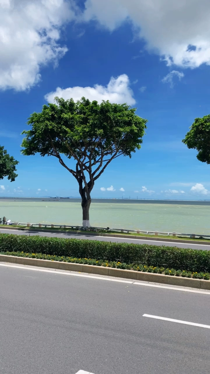 广东珠海最美海岸线情侣路,记得要来一次