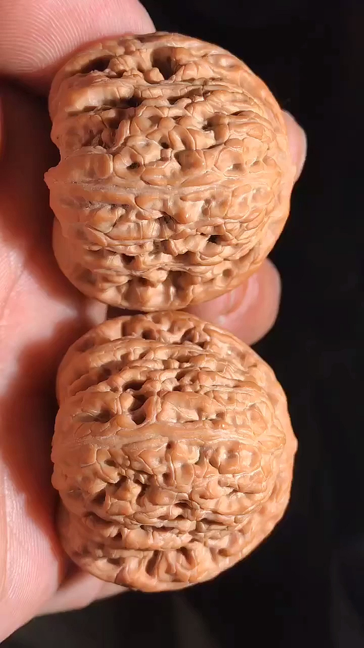 文玩核桃#红玛瑙,骨质硬实,后期走色漂亮