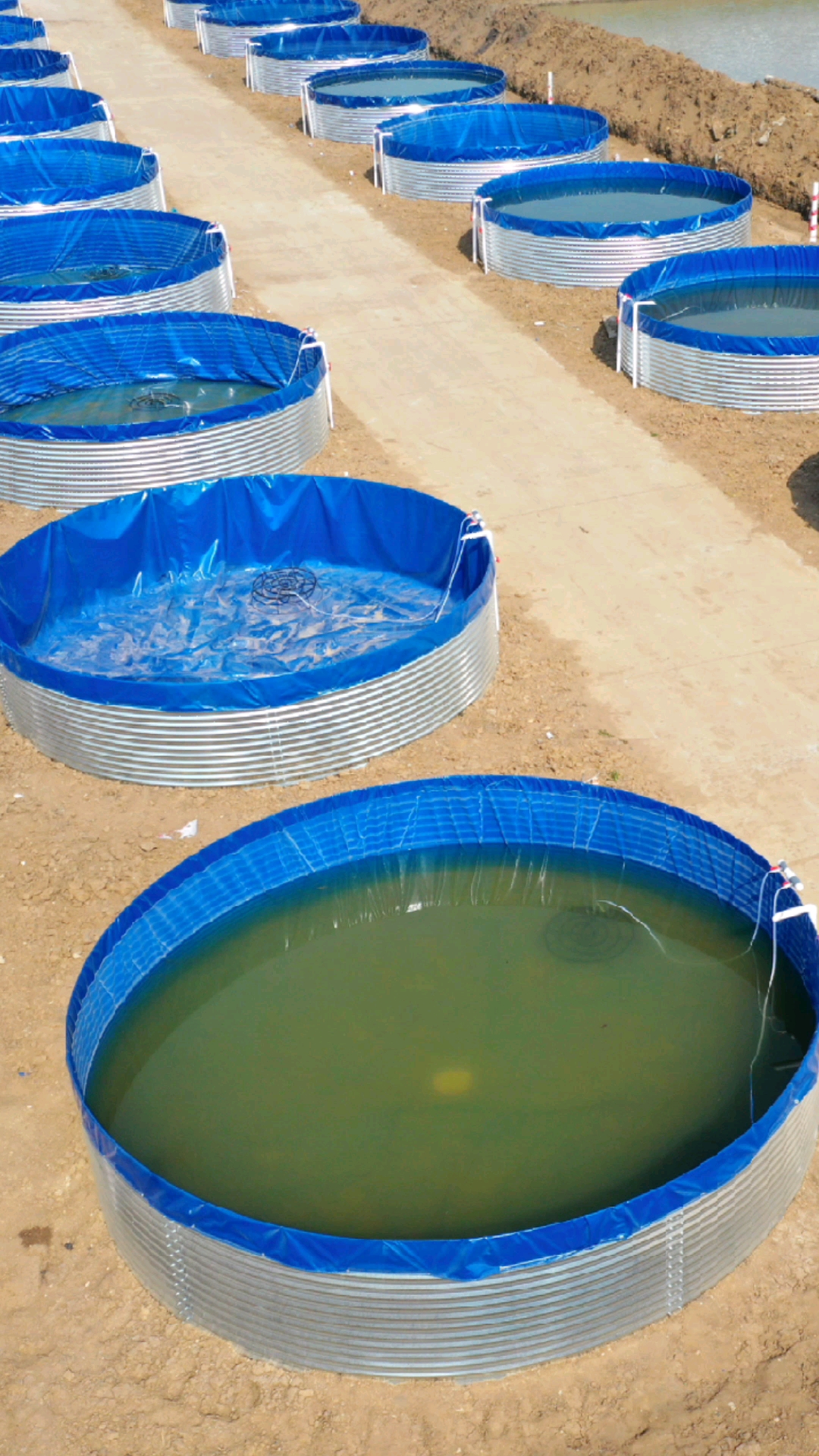 养鱼#高密度养鱼帆布水池,产量高,好管理!