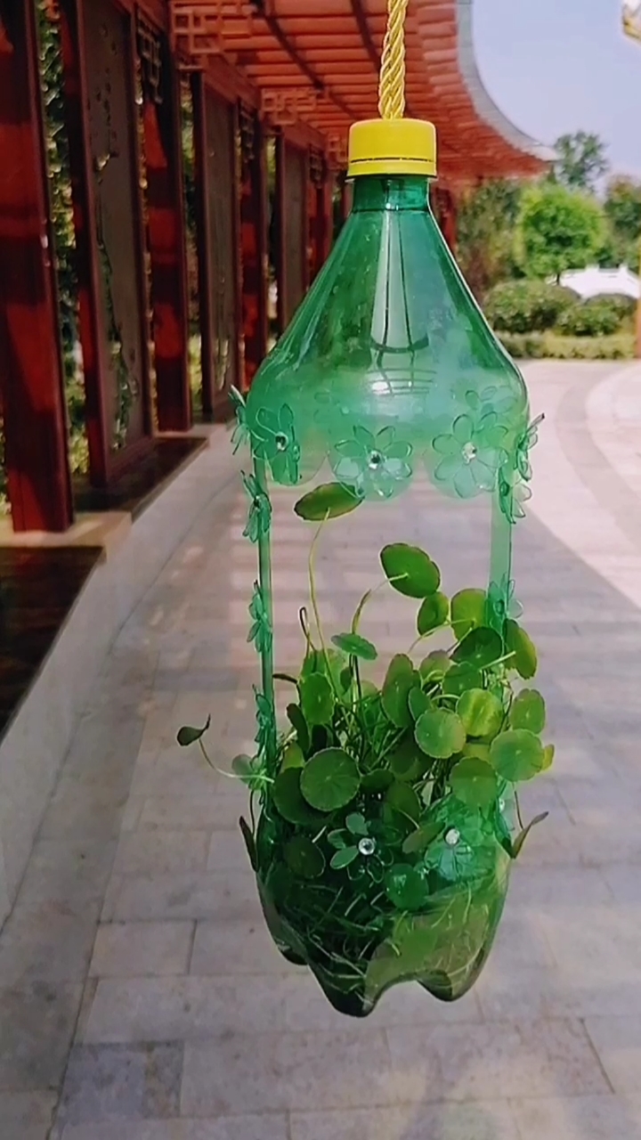 废物利用塑料瓶小妙招图片
