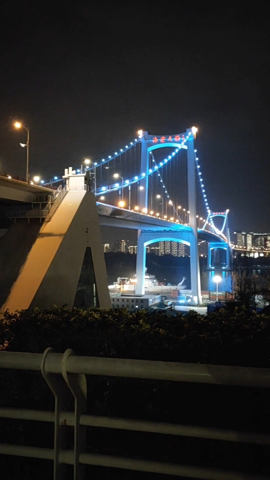 海沧大桥夜景图片