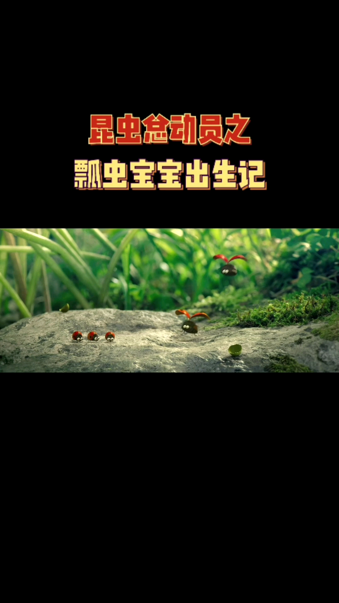 好看电影昆虫总动员之瓢虫宝宝出生了