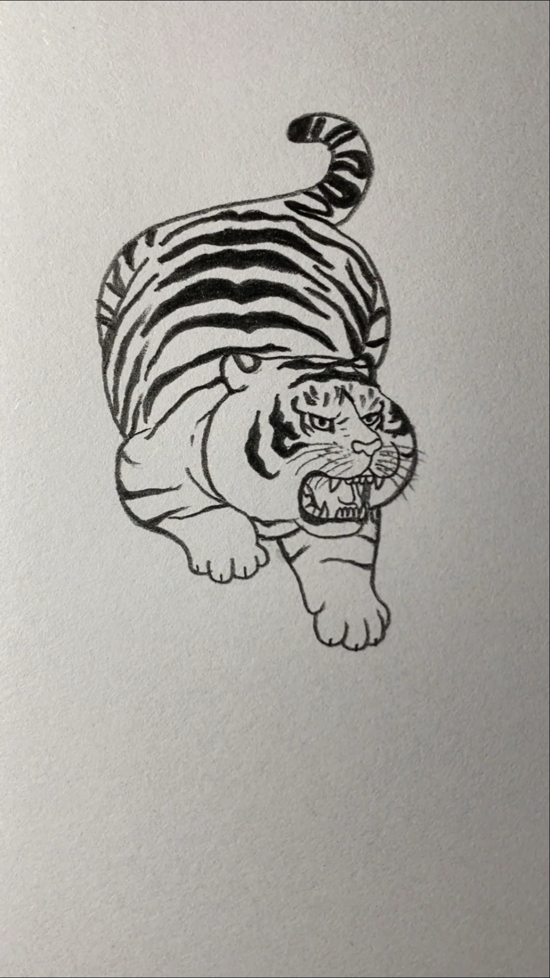 画一只凶猛的老虎