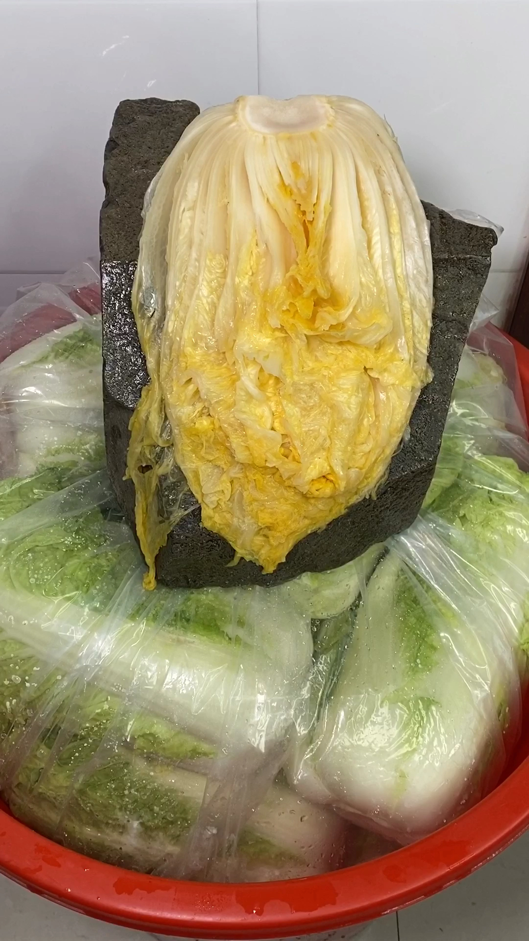 东北腌酸菜教程