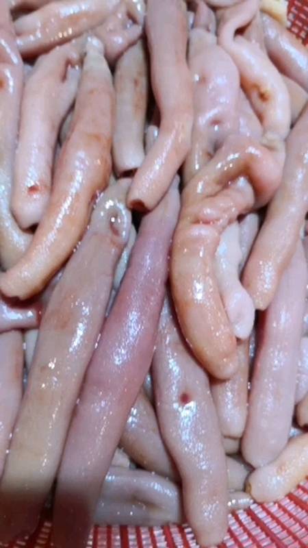 山东海鲜莱州湾海鲜海肠子家里有矿才能吃得起