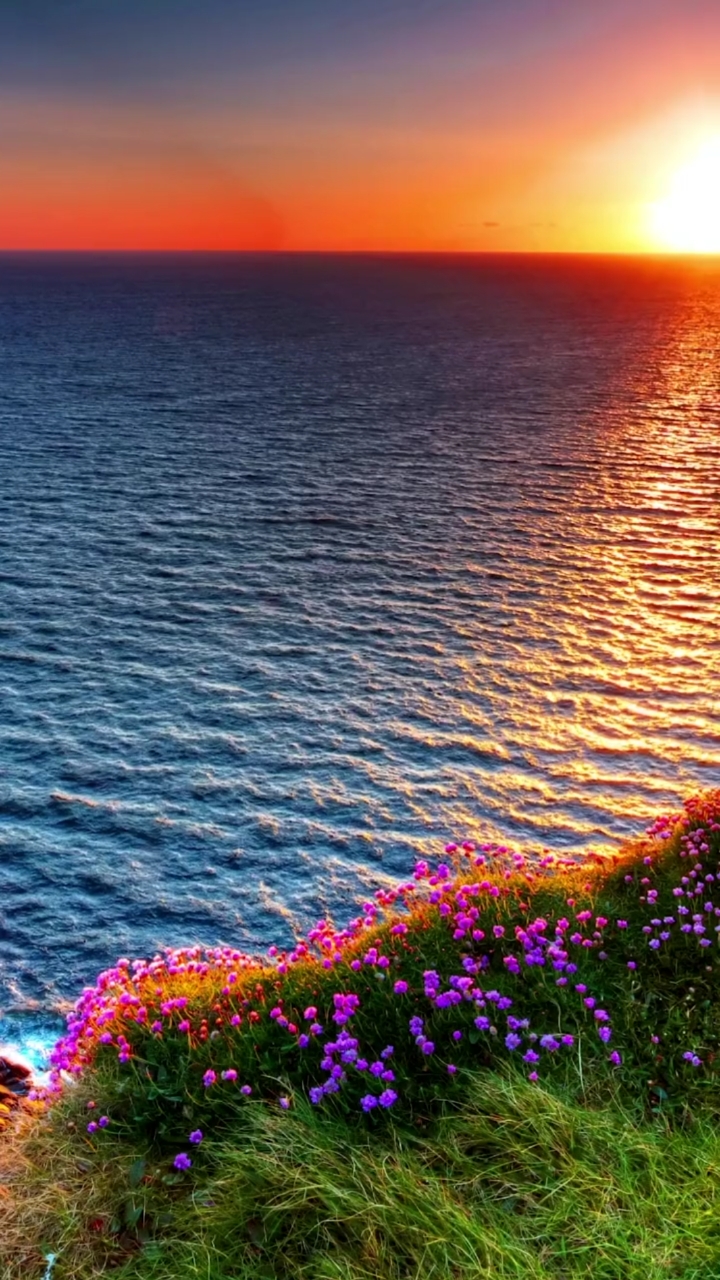 最美不过夕阳红,温馨又从容,夕阳是晚开的花,夕阳是陈年的酒