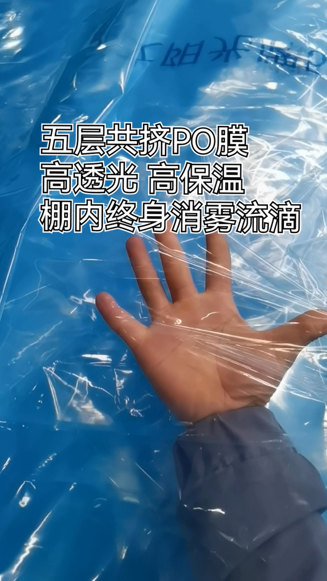 蔬菜大棚五层共挤po膜高透光高保温棚膜不起雾不哗哗滴水