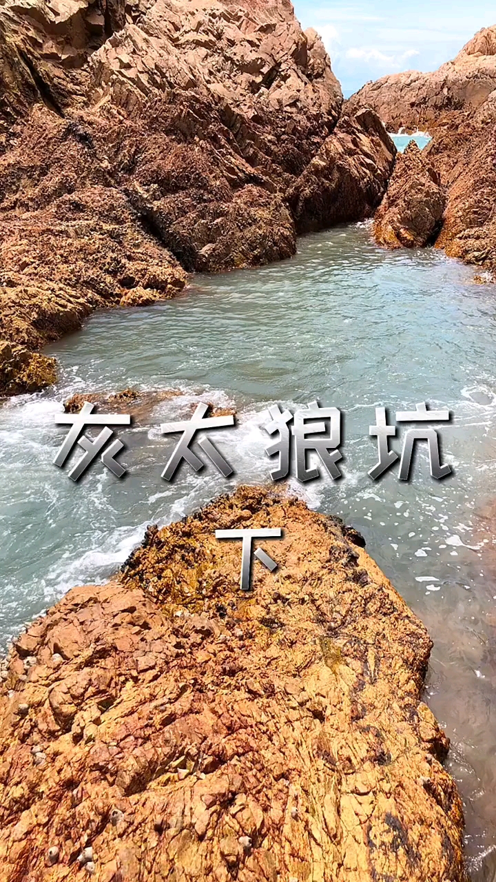 鄉村生活#【灰太狼坑】下集#趕海#三農